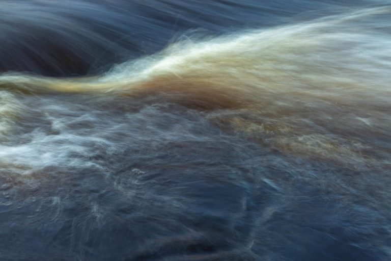 Afternoon Stroll-4652