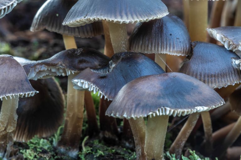 Read more about the article Fishing Masham, Walkabout 03