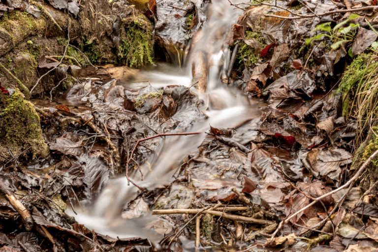 Read more about the article Fishing Masham, Walkabout 10