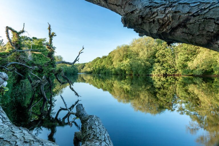 Fishing Masham 001-1490