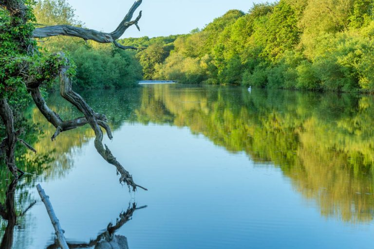 Read more about the article Fishing Masham, Walkabout 01