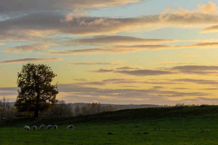 Lower Limit Woods-6033