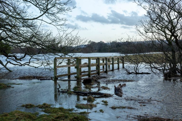 Read more about the article Fishing Masham, Walkabout 16