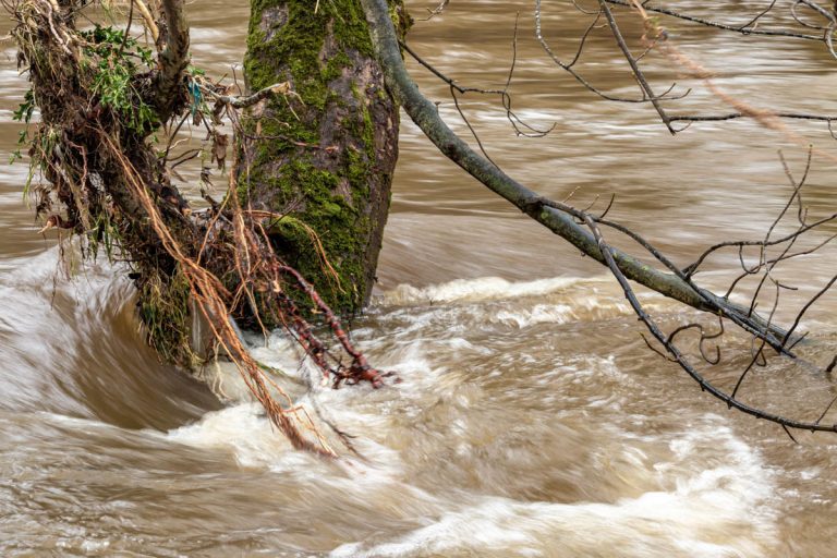 Read more about the article Fishing Masham, Walkabout 15