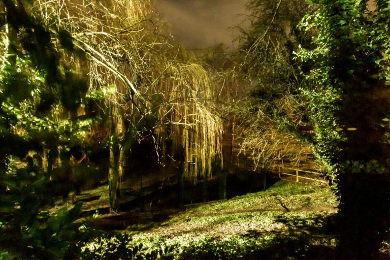 Read more about the article Fishing Masham, Walkabout 12