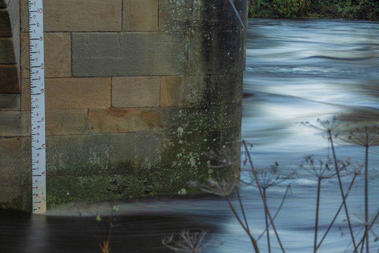 Read more about the article Fishing the Ure at Masham