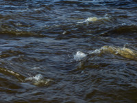 Textures of Water