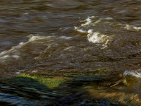 Textures of Water
