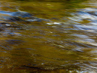 Textures of Water
