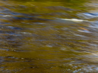 Textures of Water