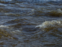 Textures of Water