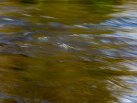 Textures of Water