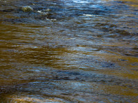 Textures of Water