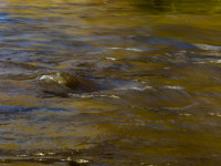 Textures of Water