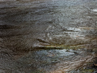 Textures of Water