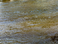 Textures of Water