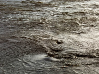 Textures of Water