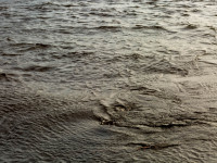 Textures of Water