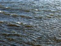 Textures of Water