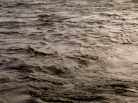 Textures of Water