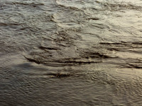 Textures of Water