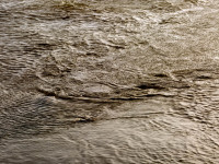 Textures of Water
