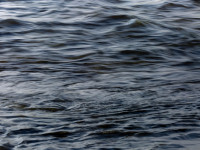Textures of Water