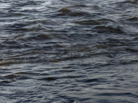 Textures of Water