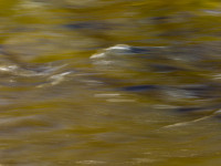 Textures of Water