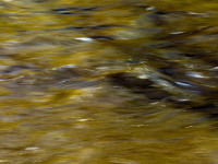 Textures of Water